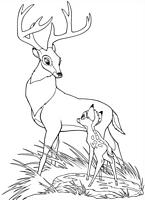 kolorowanki Bambi Disney malowanki do wydruku numer 58